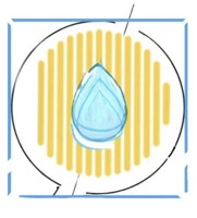Logo SSFC